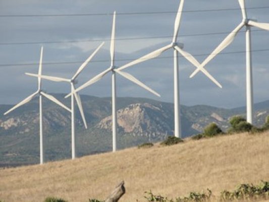 Eolica Dobrogea a dat în judecată ANRE şi Transelectrica
